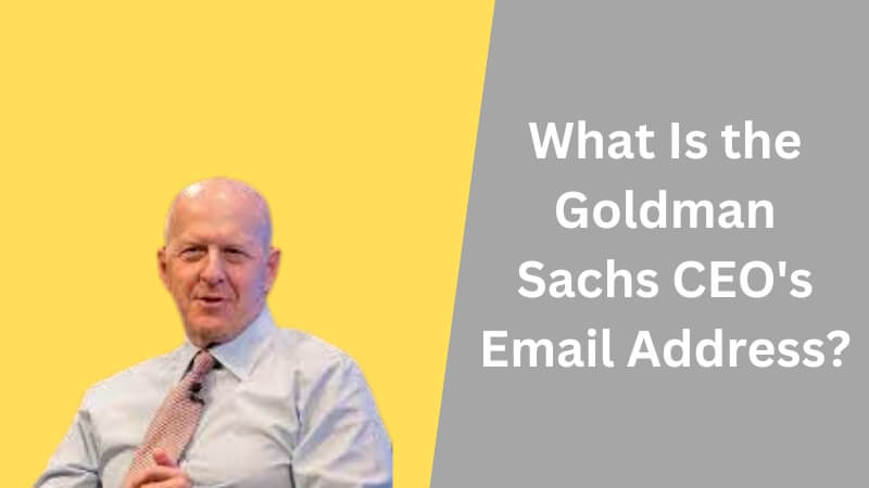 Goldman Sachs CEO Email